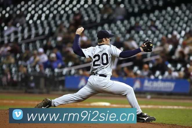 乐鱼官方网站在线注册发展历程